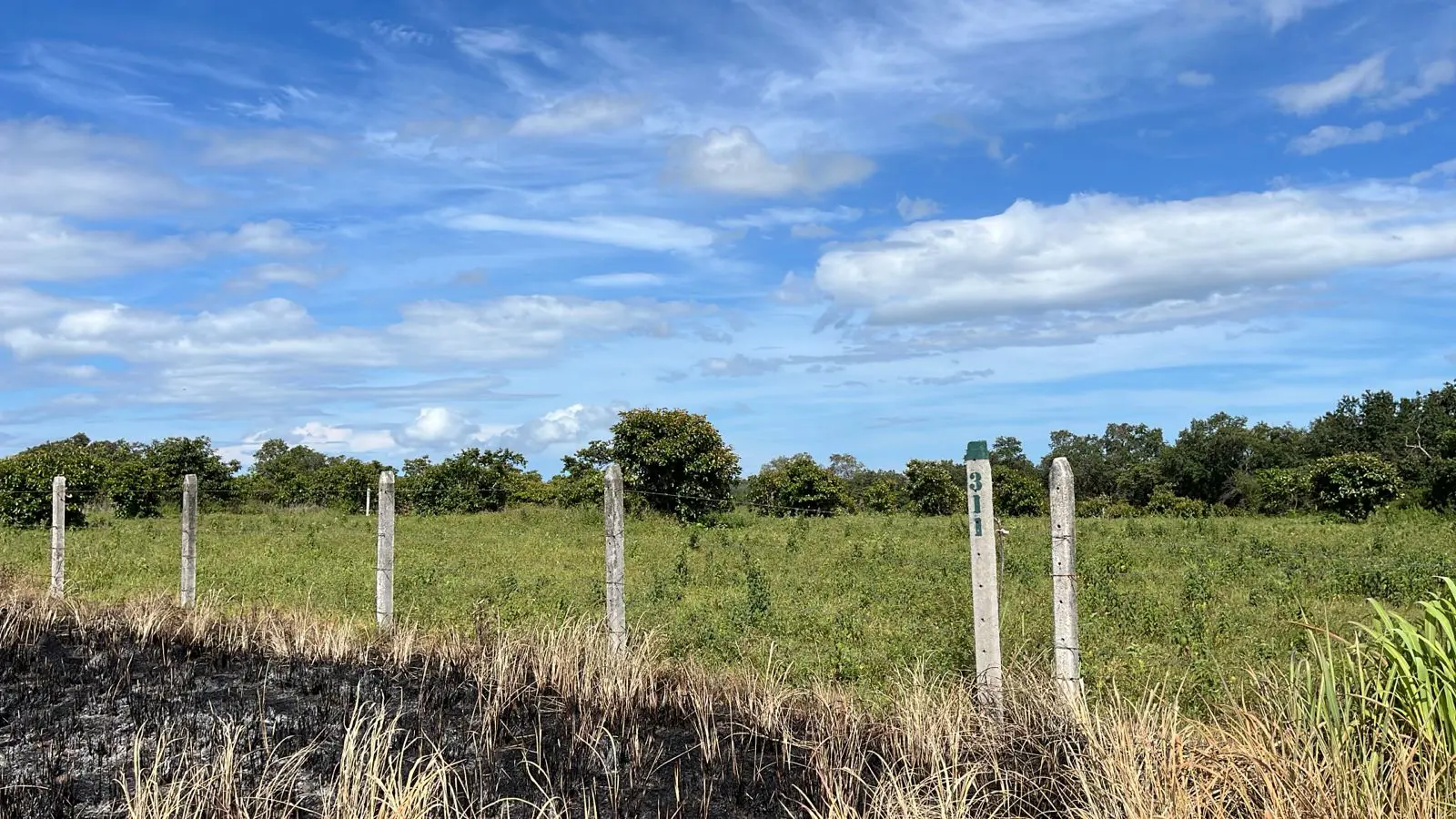 Lotes en Proyecto La Ponderosa