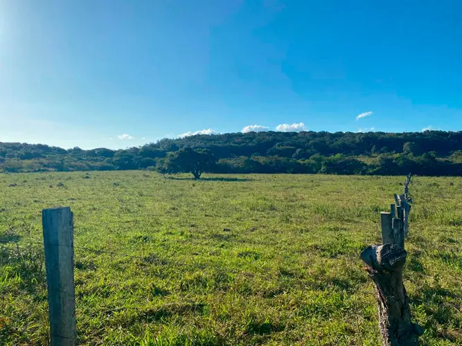 Finca San Jorge, Bagaces Guanacaste