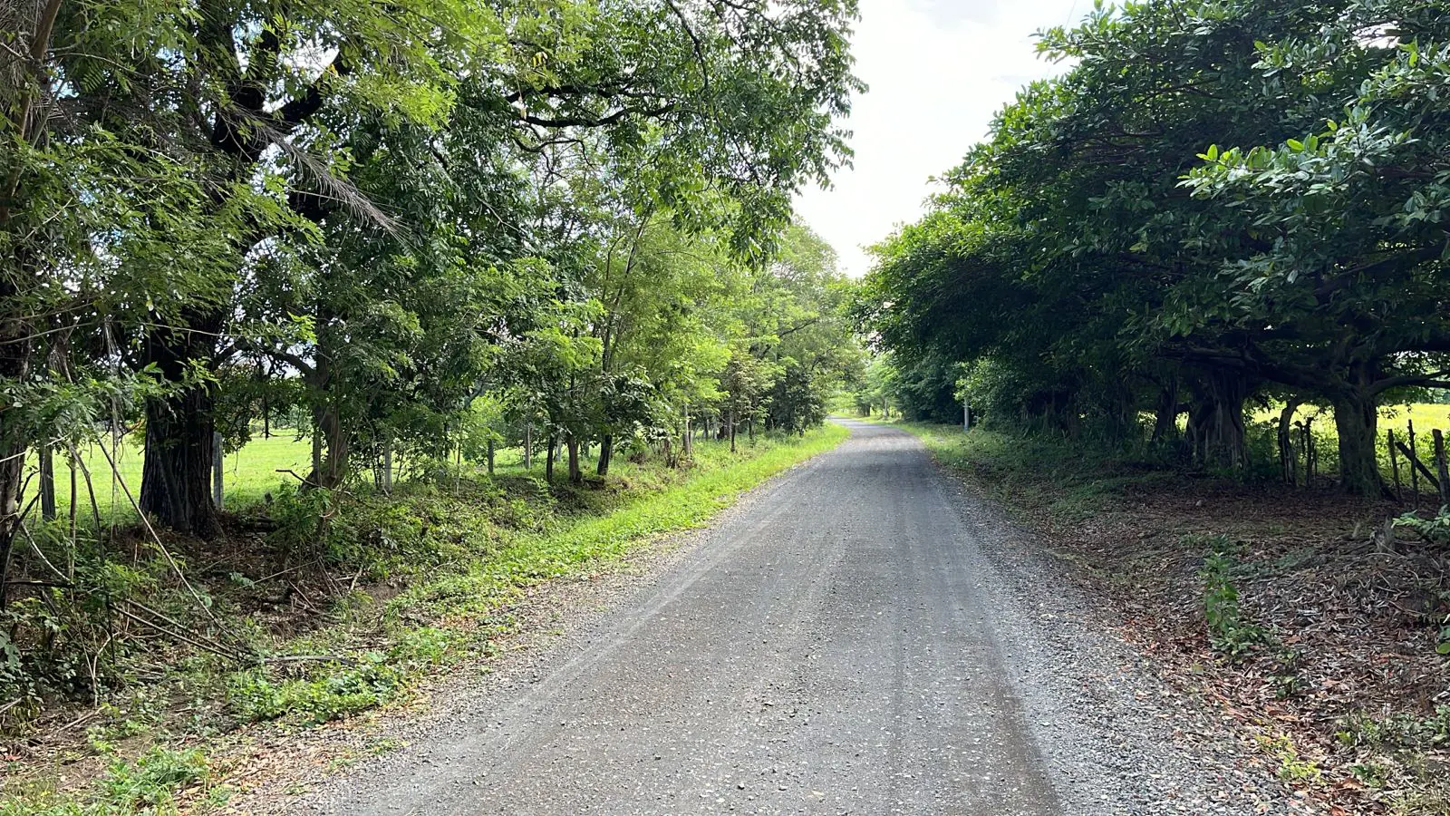 Lotes en Proyecto La Ponderosa