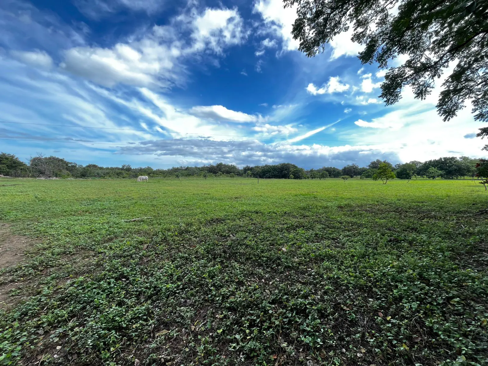 Lotes en Proyecto La Ponderosa