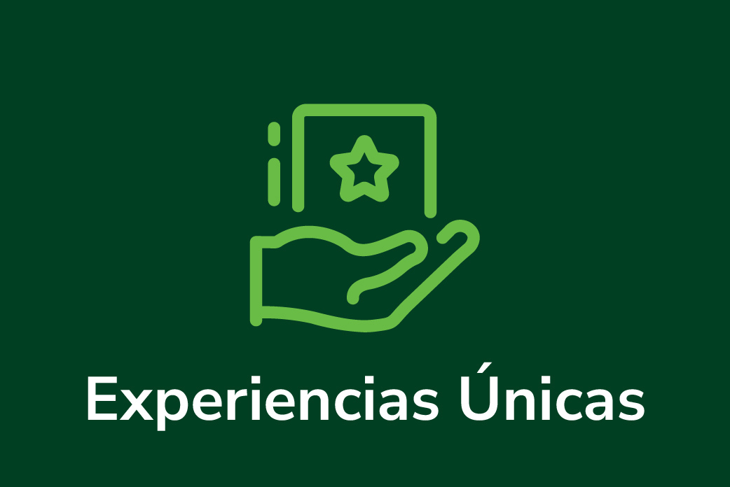 experiencias