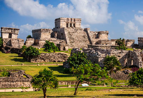 AA