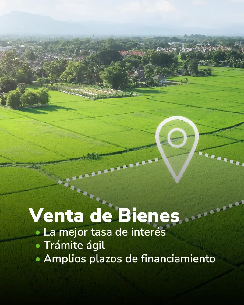 Venta de Bienes