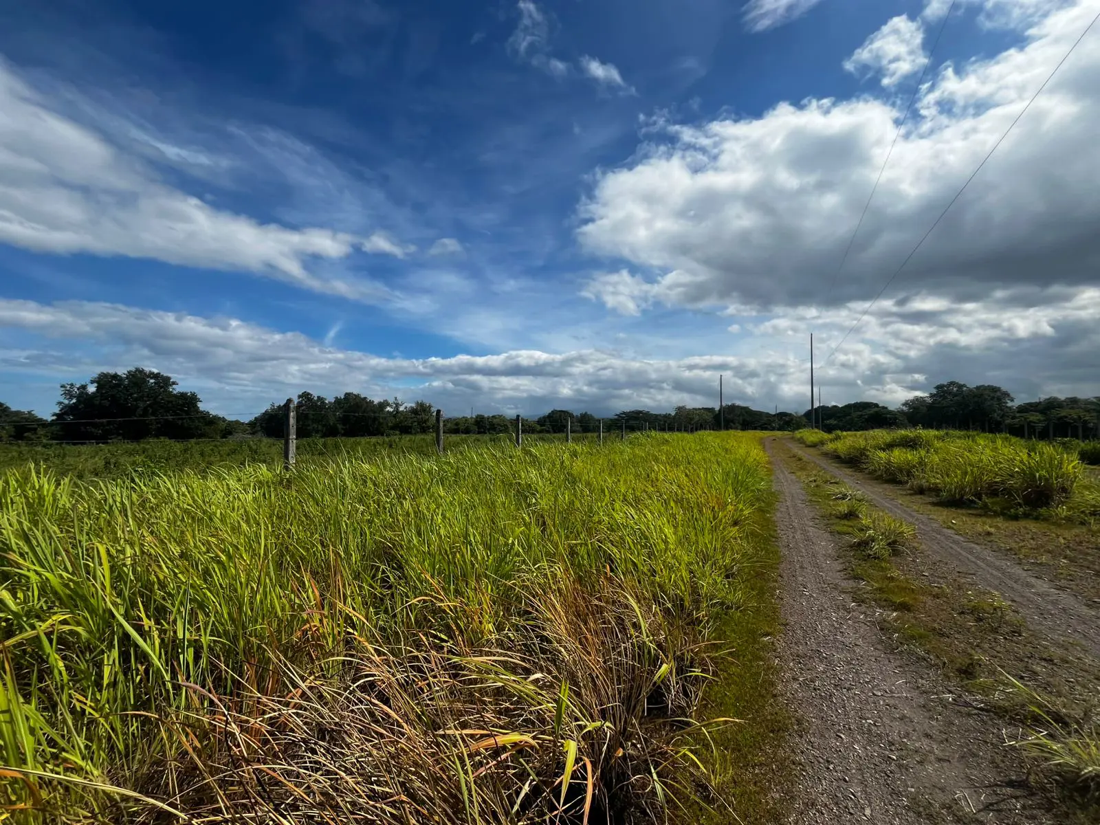 Lotes en Proyecto La Ponderosa